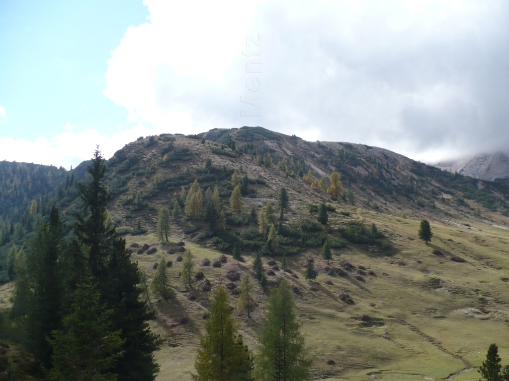Images/3 Suedtirol_ Ploetzwiese (159).jpg